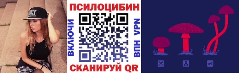 Псилоцибиновые грибы мицелий  где найти наркотики  Канск 